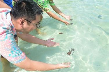 李嘉文:我在印尼當“島主”