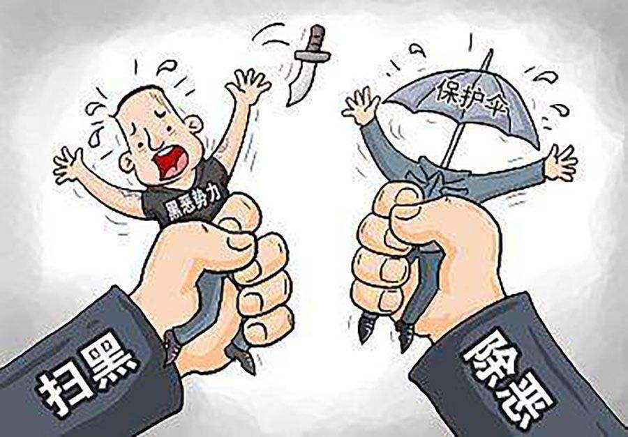 辛識平:將掃黑除惡進行到底