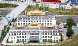 青海玉樹:傳統藏醫藥融合現代診療技術煥發新活力