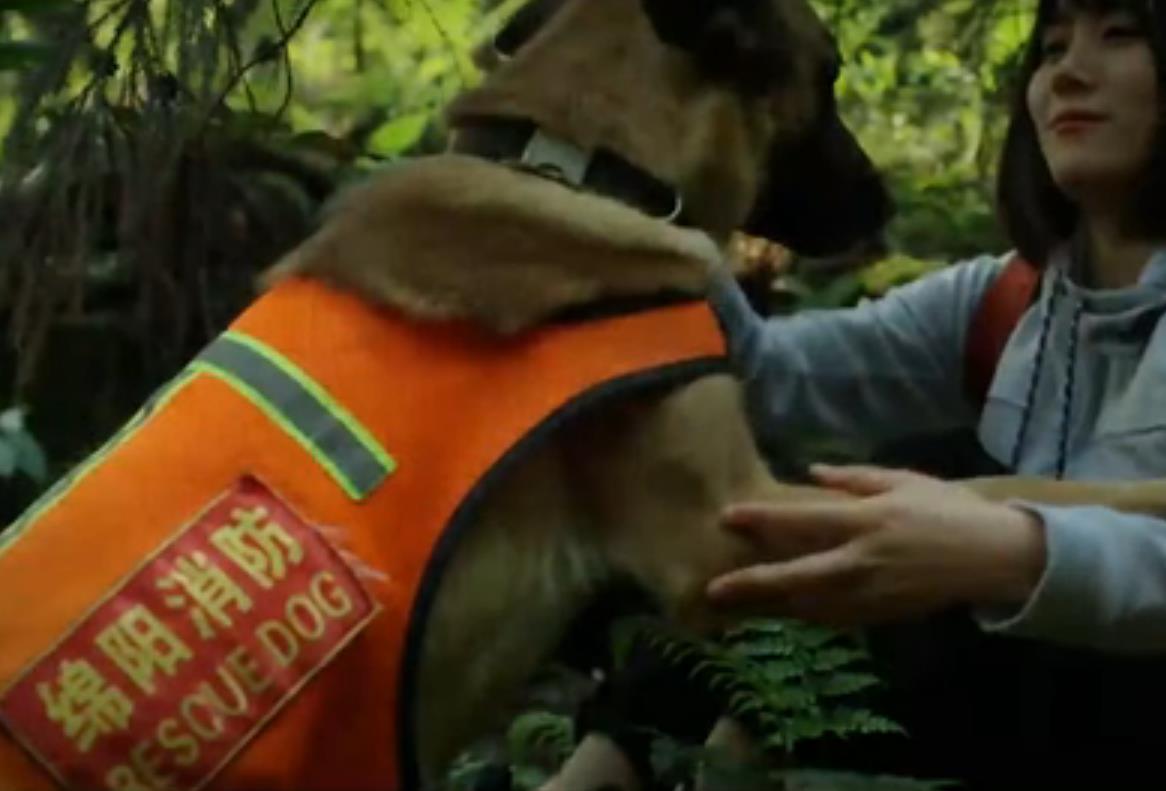 全國防災(zāi)減災(zāi)日|無言的戰(zhàn)士 忠誠的伙伴——搜救犬