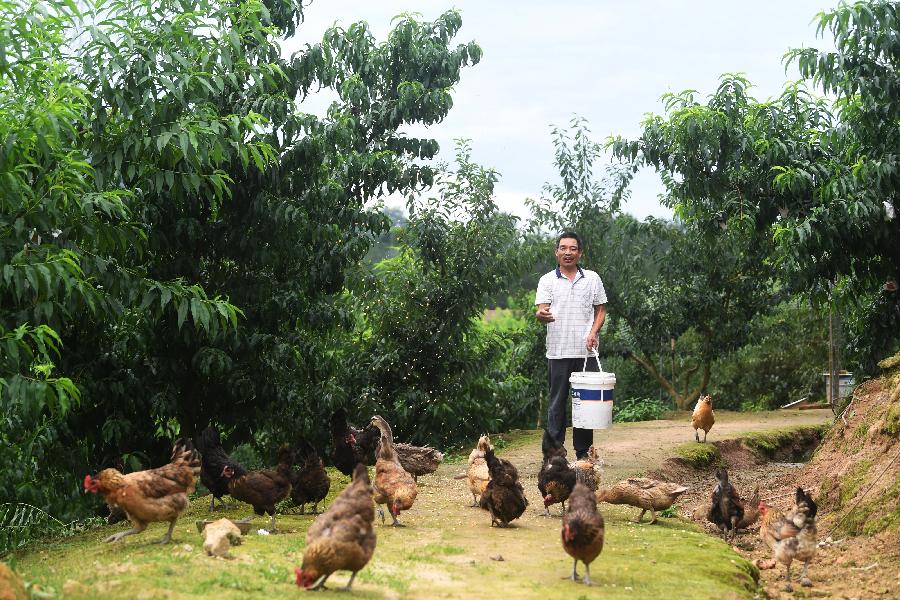 重慶萬州:產(chǎn)業(yè)助脫貧