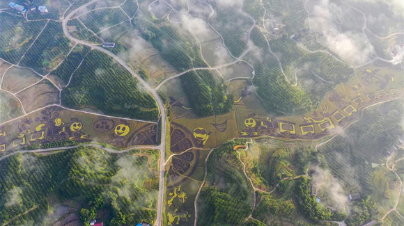 百城千縣萬村調(diào)研行|在三峽橘鄉(xiāng),遇見最美的田園時光!