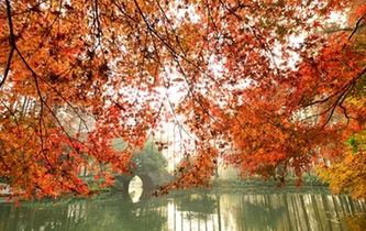 杭州:滿城楓情