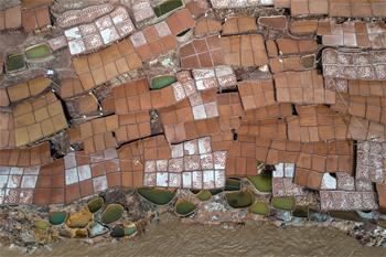 西藏芒康:瀾滄江畔的千年古鹽田