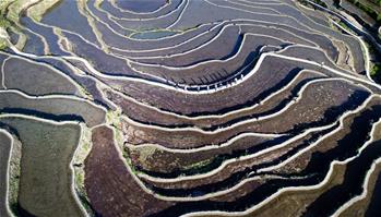 湖北蘄春:梯田景觀成就扶貧產業