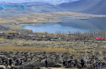 烏魯木齊:義務植樹添新綠