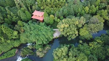 綠色貴陽:生態濕地醉游人