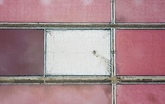 江蘇連云港:淮鹽豐收“秋扒”忙