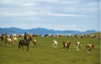 華能北方公司：奔小康，咱肯定能