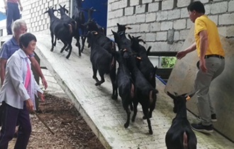 華能?？陔姀S：脫貧攻堅齊心力 貧困鄉村煥新顏