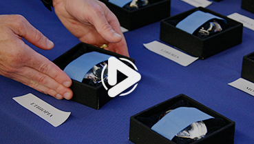 第三集:特殊的勛章