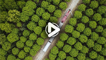 第十一集:你好!地球衛(wèi)士