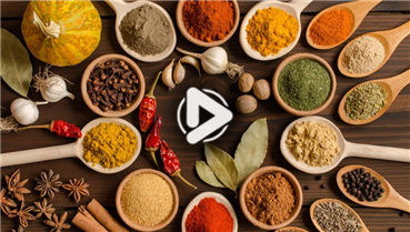 第十九集:尋味聯(lián)合國