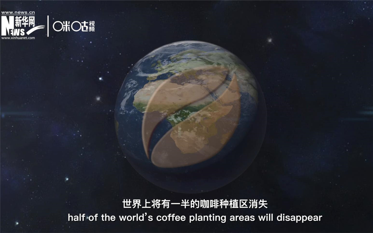 科學家預測到三十年后，世界上將有一半的咖啡種植區消失