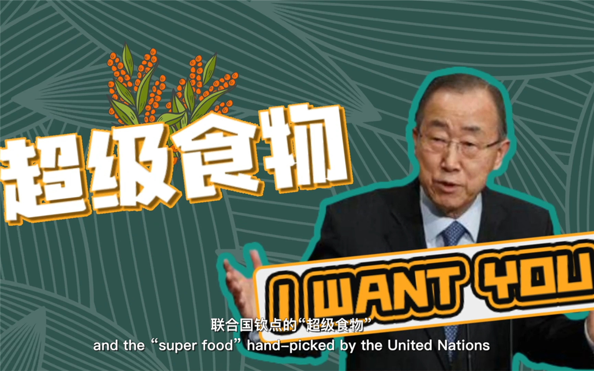 聯合國將藜麥視為抗擊饑餓的“超級食物”，大力推廣