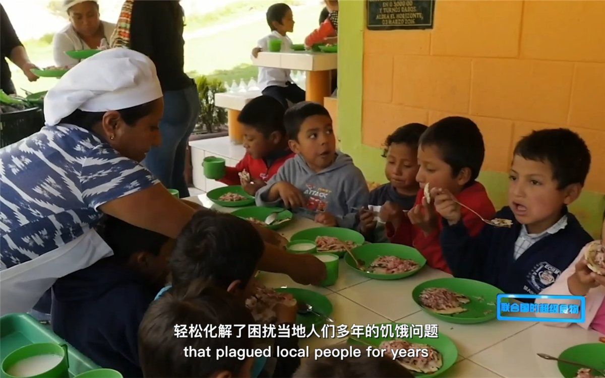 藜麥的蹤跡遍布北美、歐洲、亞洲和非洲多地