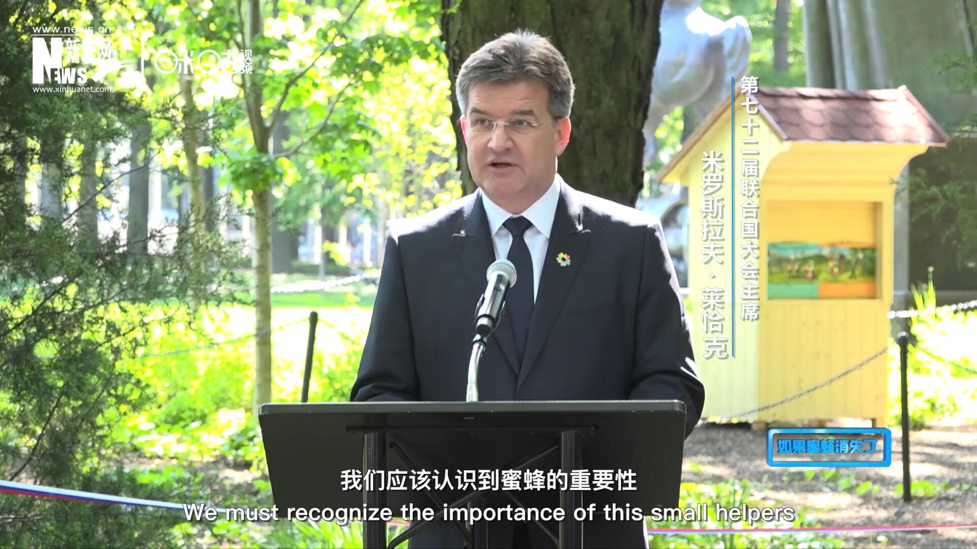 我們應(yīng)該認(rèn)識到蜜蜂的重要性，所以我們用“世界蜜蜂日”提高大家保護(hù)蜜蜂的意識，并且用實際行動去保護(hù)蜜蜂