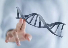 小細胞肺癌需要做基因檢測嗎?