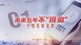 未來五年,不“摸魚”