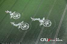 英國再現麥田怪圈 上帝也玩小清新