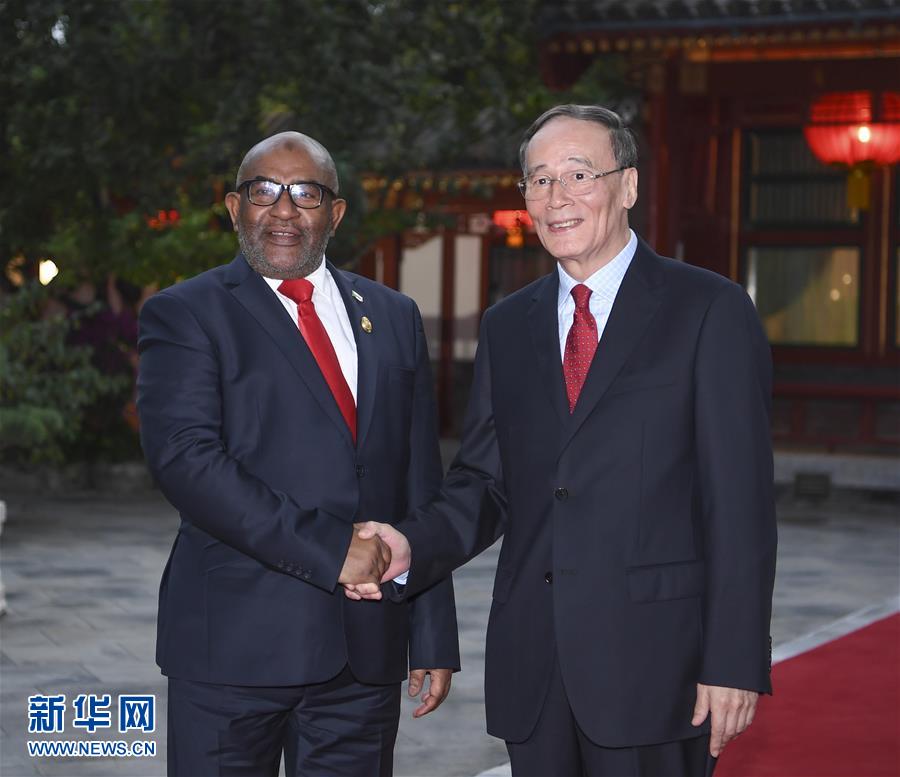 (中非合作論壇)王岐山會見科摩羅總統阿扎利