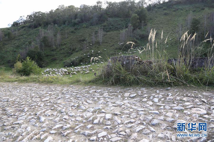 （國際·圖文互動(dòng)）（5）羅馬尼亞大理石村的今昔