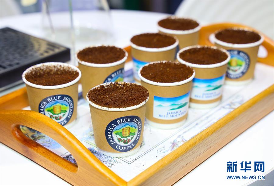 (新華全媒頭條·圖文互動)(15)人間正道 浩蕩前行——習(xí)近平主席出席首屆中國國際進(jìn)口博覽會紀(jì)實(shí)