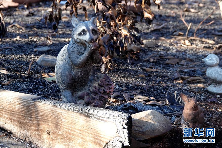 (國際·圖文互動)(4)一場山火,讓這個冬天格外冷——探訪美國加州山火災區