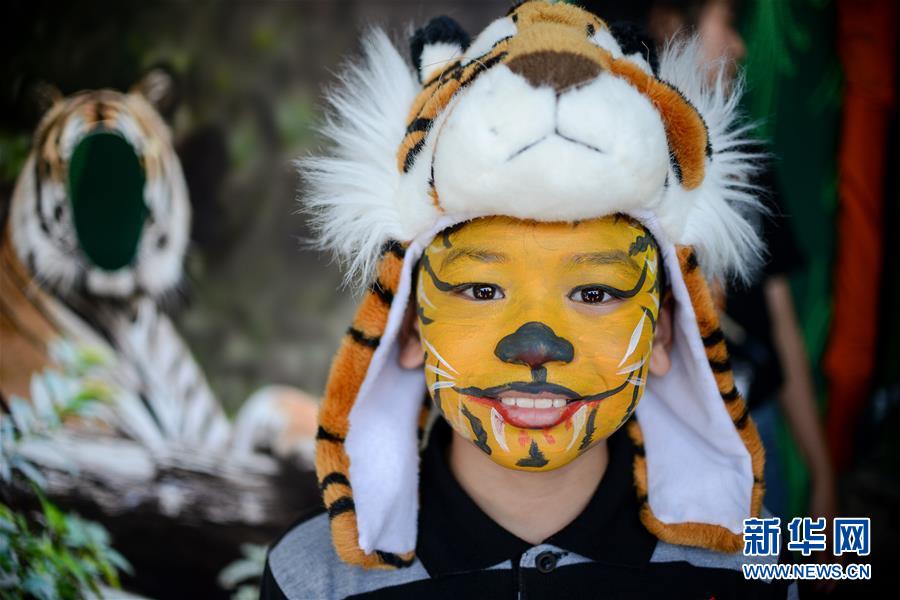 (國際)(3)馬來西亞將加強打擊偷獵馬來虎行為