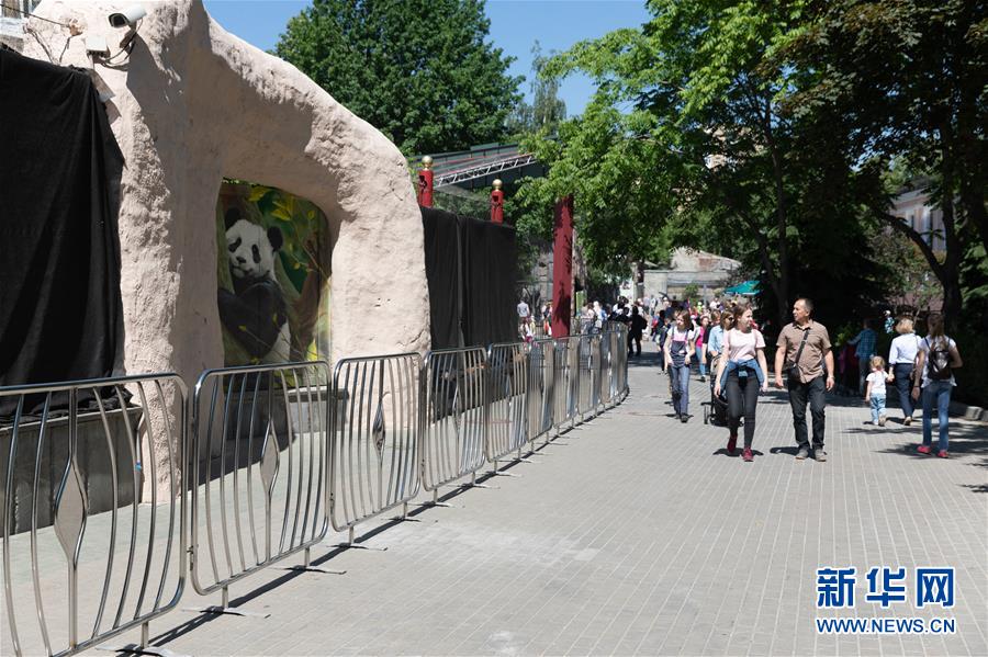 (習近平出訪配合稿·圖文互動)(2)通訊:“友誼使者”中國大熊貓入住莫斯科新家