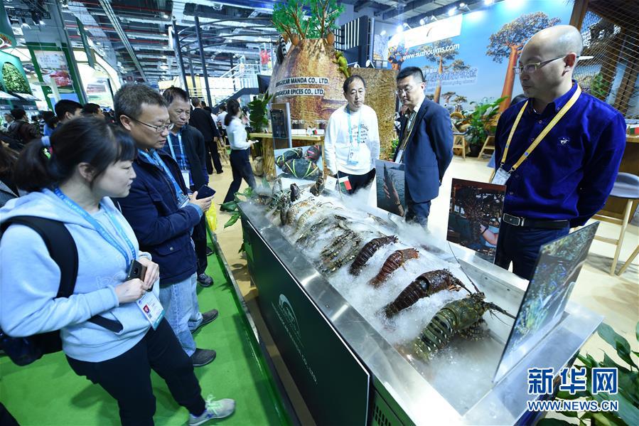 (新華全媒頭條·圖文互動)(2)中國市場 世界共享——進博會勾勒共贏畫卷