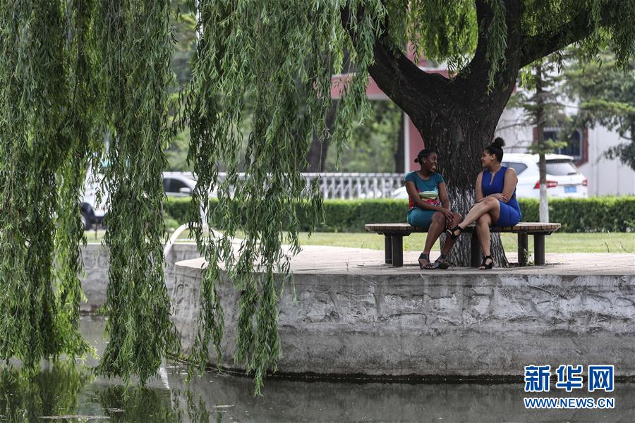 (中非團結(jié)抗疫故事·圖文互動)(5)坦桑尼亞留學生譚麗:離家千里 生活一樣溫暖而多彩