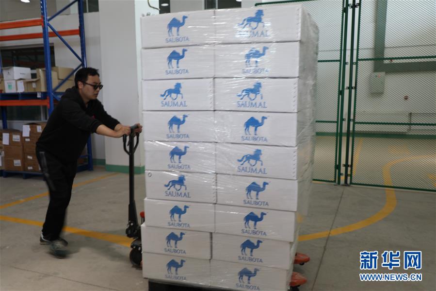 (國際·圖文互動)(8)從“先遣隊”到“正規軍”——哈薩克斯坦駱駝奶粉入華記