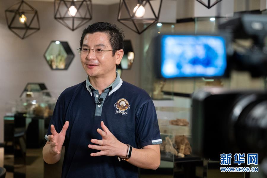 (第三屆進博會·圖文互動)(8)專訪:進博會提供了一個共享中國發(fā)展機遇的平臺