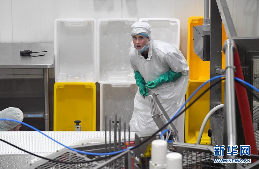 （第三屆進博會·圖文互動）（2）通訊：新西蘭的進博會味道，甜