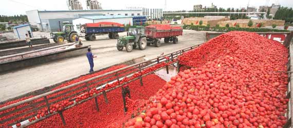 中國(guó)推動(dòng)構(gòu)建共贏、互信、發(fā)展的新絲綢之路