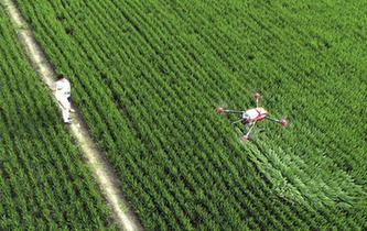 江蘇海安:“智慧農業”促鄉村振興