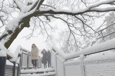 南京:紫金山銀裝素裹