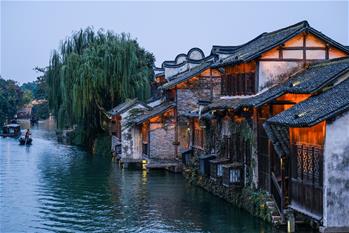 烏鎮40年:根里的靜與脈中的動