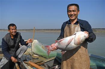 鄱陽湖:人歡魚躍冬捕忙
