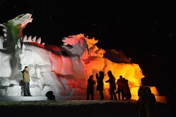 阿爾山:冰雪迎游客