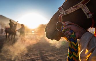 西藏:賽馬慶新年