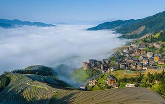 廣西龍勝:梯田云霧美如畫