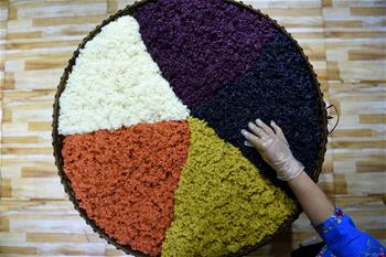 貴州臺江:苗家姊妹飯傳情達(dá)意