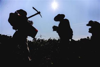 江西峽江:烈日下的巡渠工