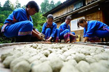 廣西龍勝:苗寨制曲忙